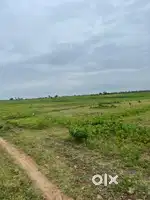 Best Investment plots in Kusumba Jalgaon .