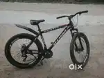 Mambo cycle