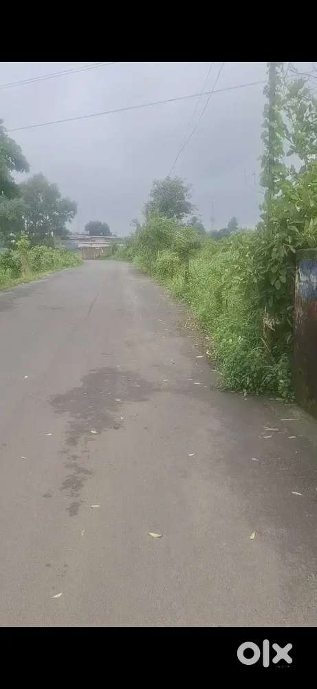 30000sf plot apna sweet pigdamber rau