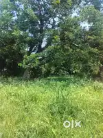 Main road side bypass road