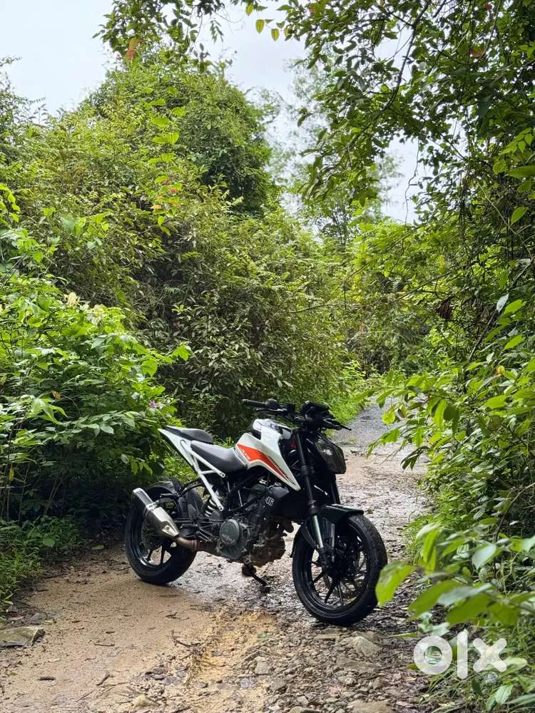 Ktm duke 390
