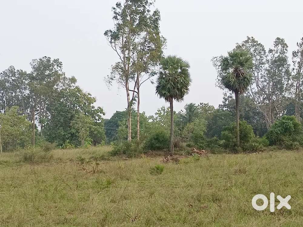 NEXT TO THIRUVALLUR - 4 ACRES - ON TAR ROAD/BUS ROUTE - NEAR HIGHWAY.