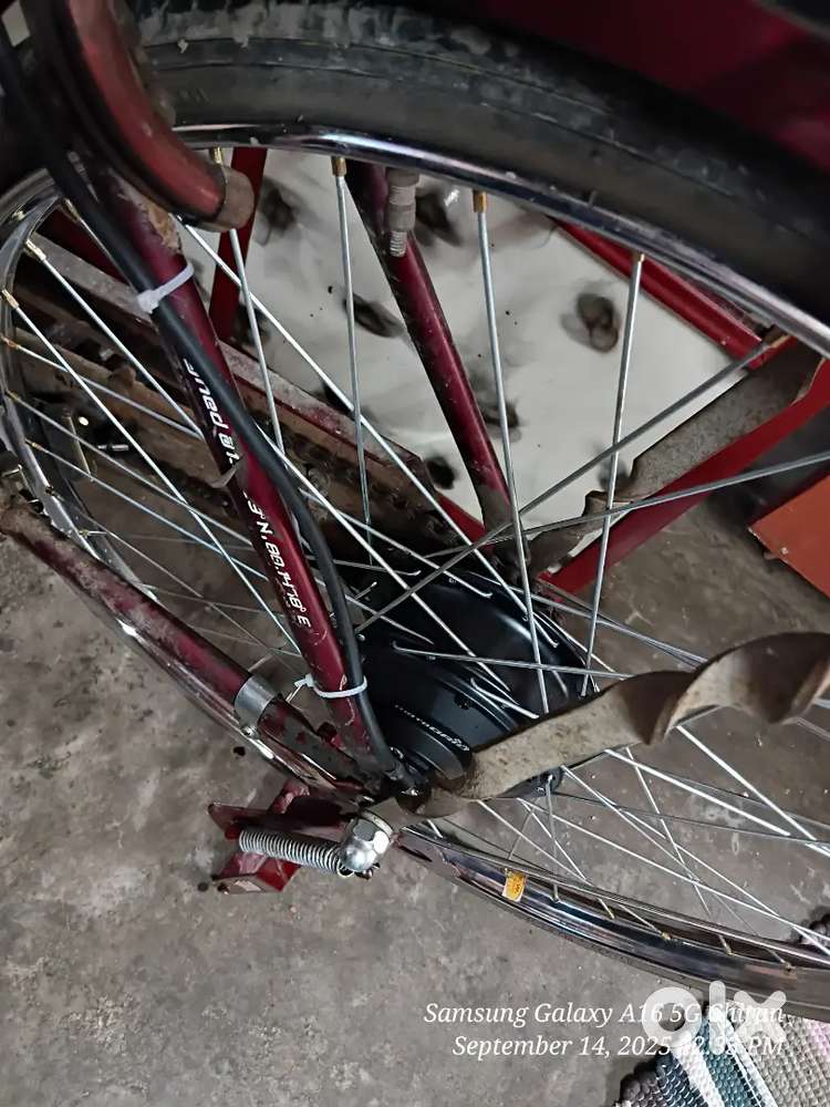 Electric cycle