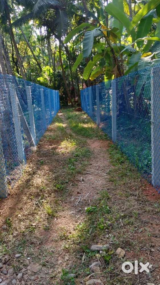 Chain link mesh ,mullu kambi ,sneha mathil contractor