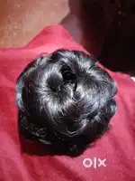 Black juda