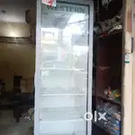 Western refrigerator 500L