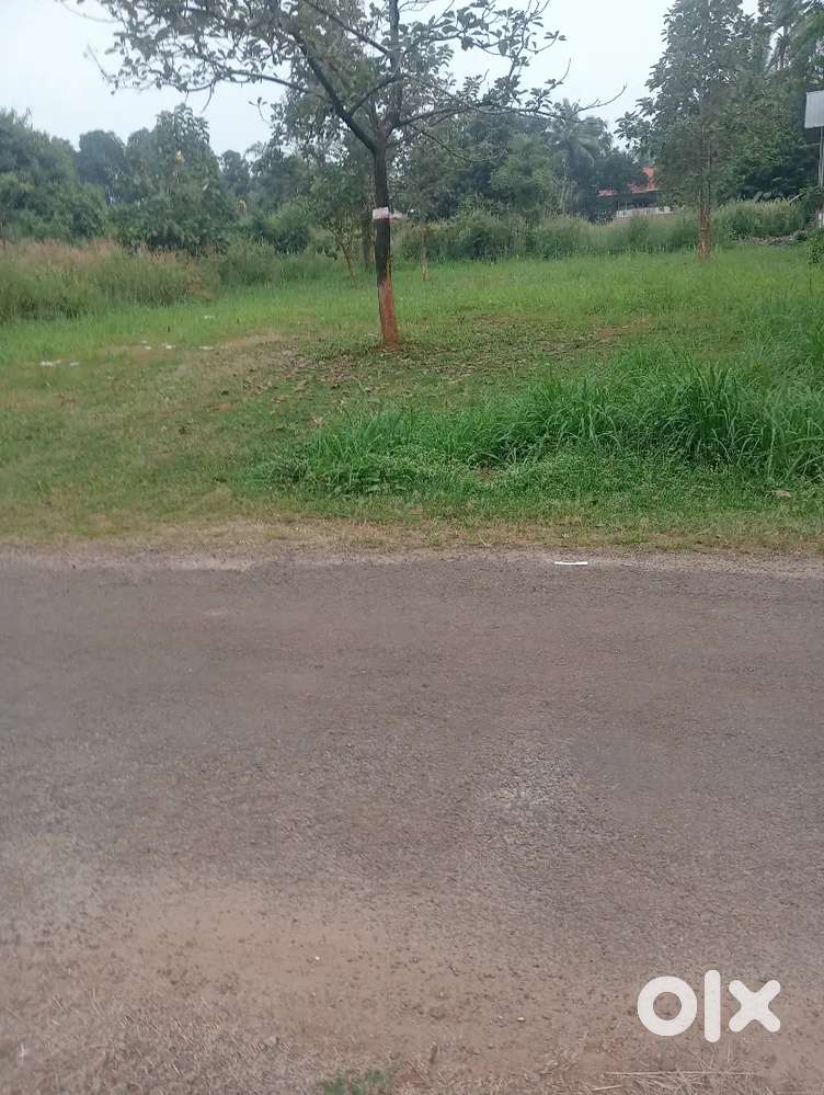 Kottekad 23 Cent Plot for Sale...24 MTR Frontage