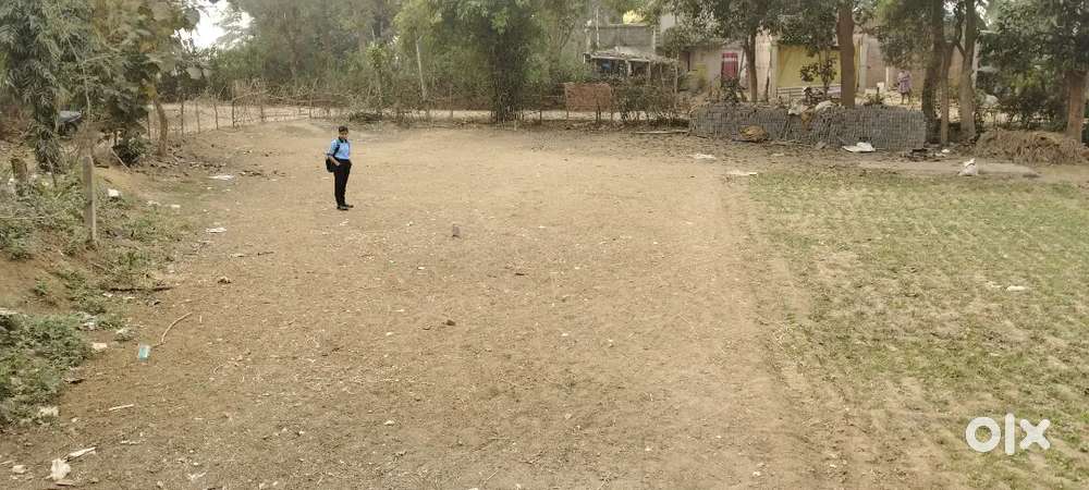 10 Dismil Land , in Dang,Bargarh