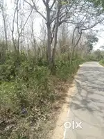 Urgent land for sale at Bade village, under chumukedima.highway touch.