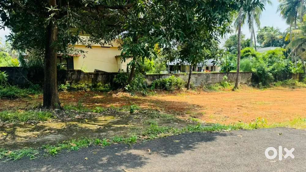 5 cent land for sale at arimbur