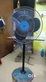 Standard Stand Fan