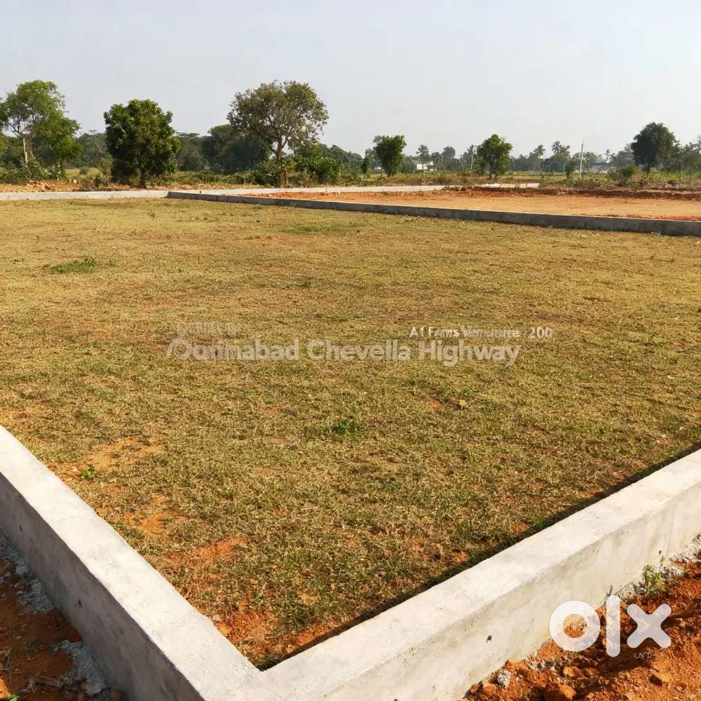 Open plot for rent or sale Moinabad