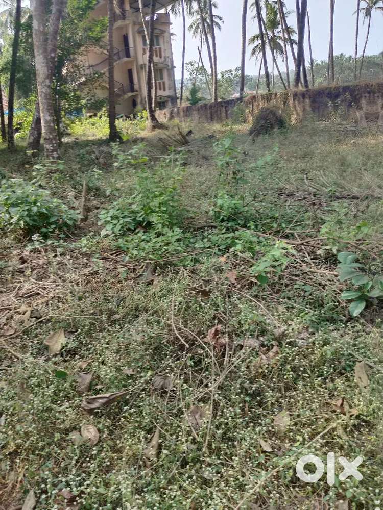 540m2 Plot for Sale in Damolim,Chandor, South Goa
