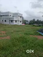 5.200 cent orginal land for sale in very near to combara Aluva