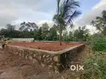 7cent square plot just near to kurathikadu junction