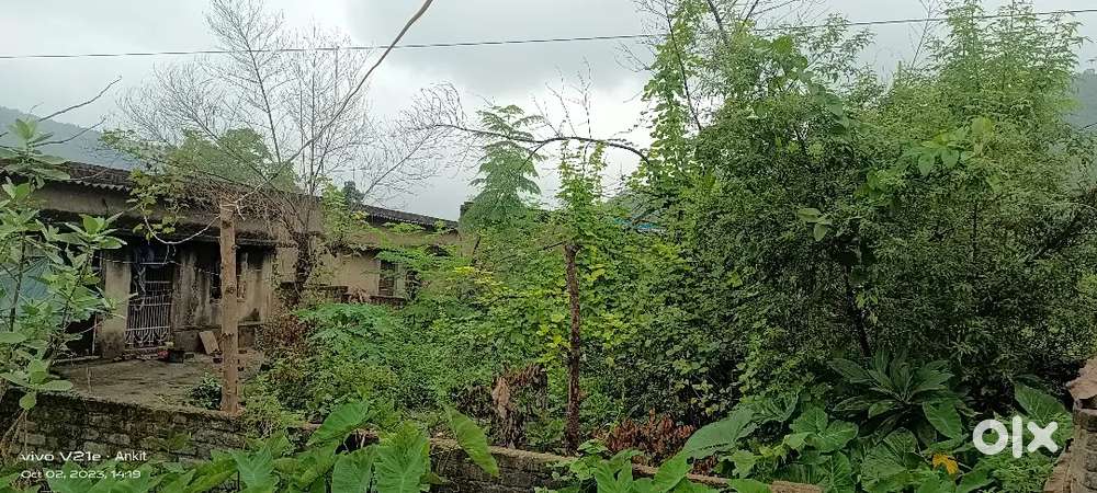 Baliguma sukhna basti