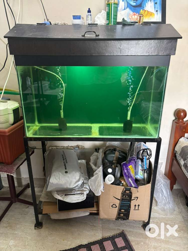 Complete Aquarium Setup for Sale – Bundle Only