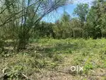 Land for sale at TARAJAN KUMARGAON near Ghradol.