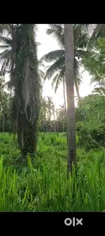 FOR SALE: 75 Cents Highway-Facing Land – Kapu, Udupi