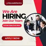 Male / Female Sales Executive