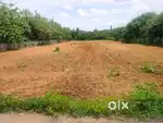 I need flat at 20 lacs