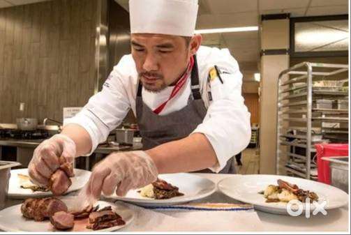 Wanted chef cook south indian dosa chappathi parotta veg hotel porur