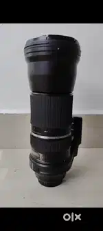 Tamron 150 600 lens  and 1dx mark ii