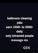BATHROOM CLEANING JOB DOOR TO DOOR SERVICE please check photos