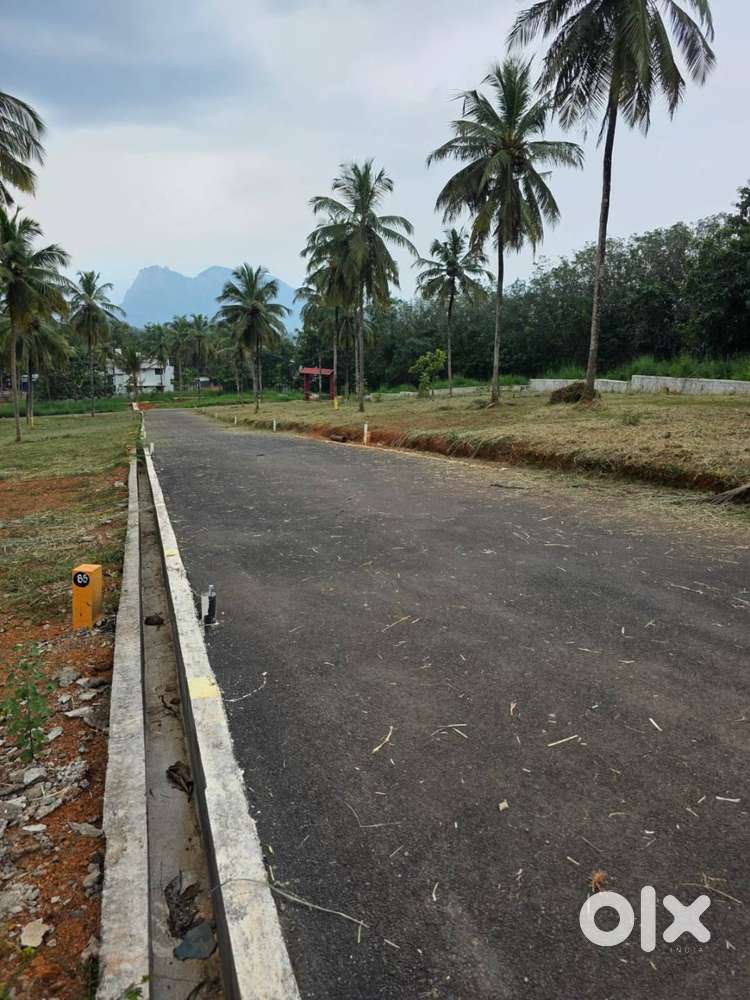 8 Cent House plot for sale in Viyyakurissi,Palakkad