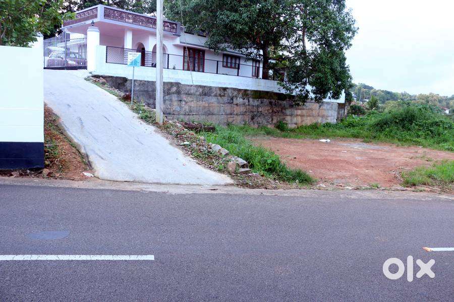 Land 9 cent old MC road side Caritas 6.5 lakh/cent