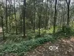 Land for sale( Negotiable )