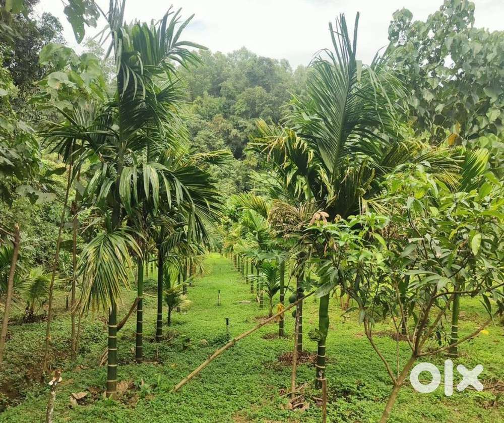 Agricultural land for sale