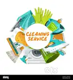 Professional cleaning ( Machines ద్వారా చేయబడును )