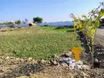 Plots,singlex&duplex