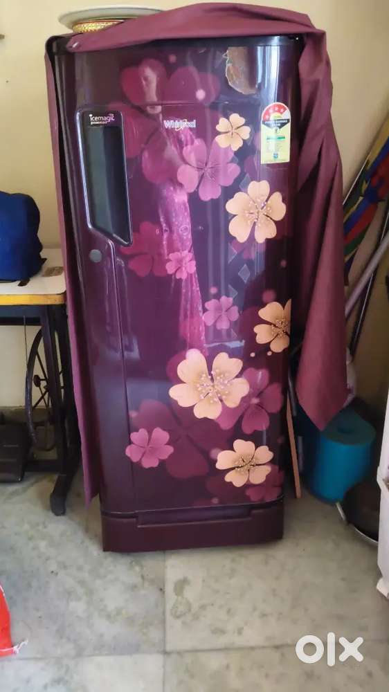 Sigal door fridge