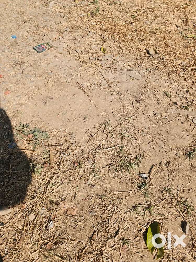 33Gj booth for sale in altus D pocket new chandigarh