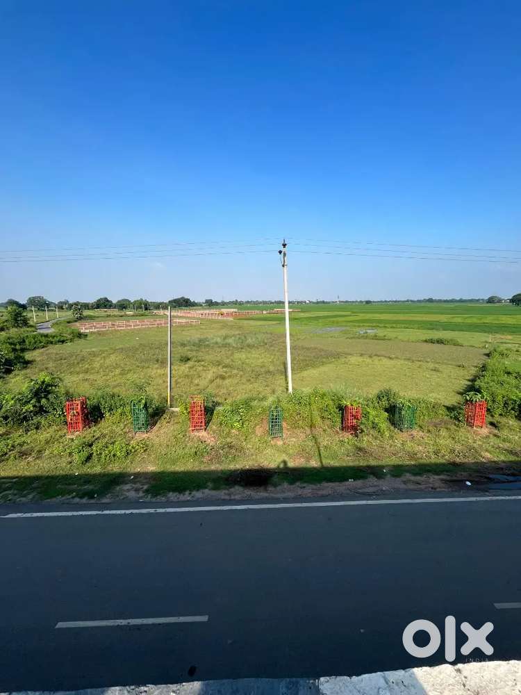 5 bigha plot Develop
