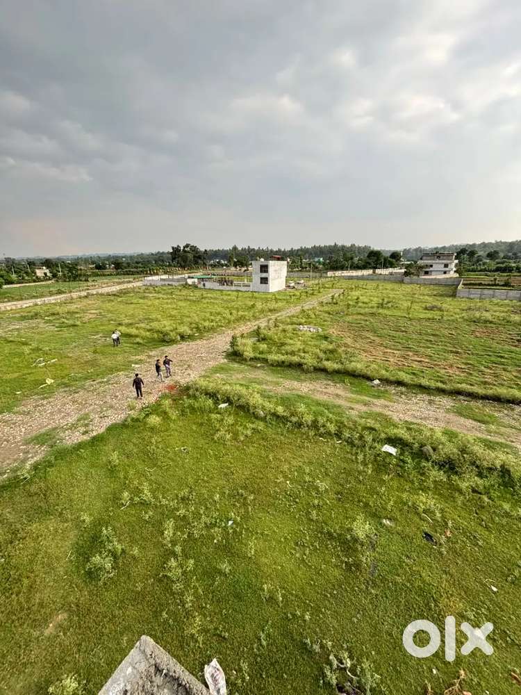 For sale free register offer dm me