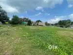 7000 sqft plot for sale Guna