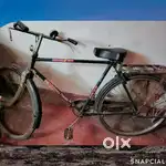 Brand new cycle for sale