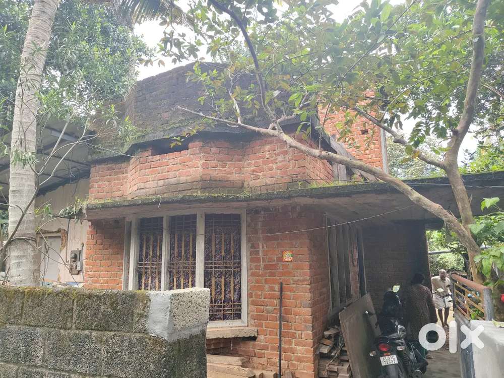 6 lakh/ സെൻ്റ് negotiable (10 സെൻ്റ്)