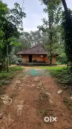 50 send plote for sale near ubs villa
