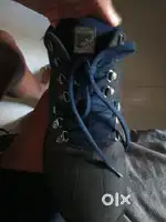 Woodland shoes brand new