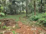 10 Cent Residential Land For Sale at Thottada, Kannur (nz)