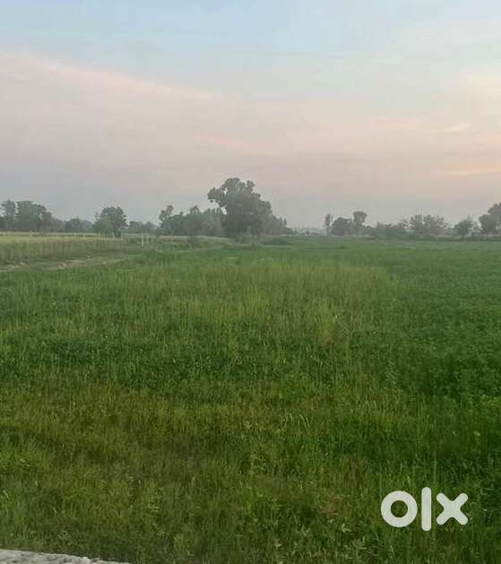 20 kanal Open land available for rent/ lease at Uttarbehani, Purmandal