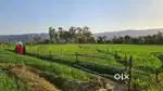 Land for sale near Mahakal PNB, Baijnath, Himachal  Pradesh.