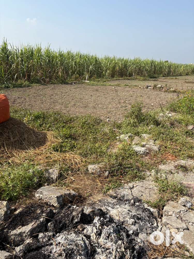 Premium plots for investment or residential construction in Doiwala