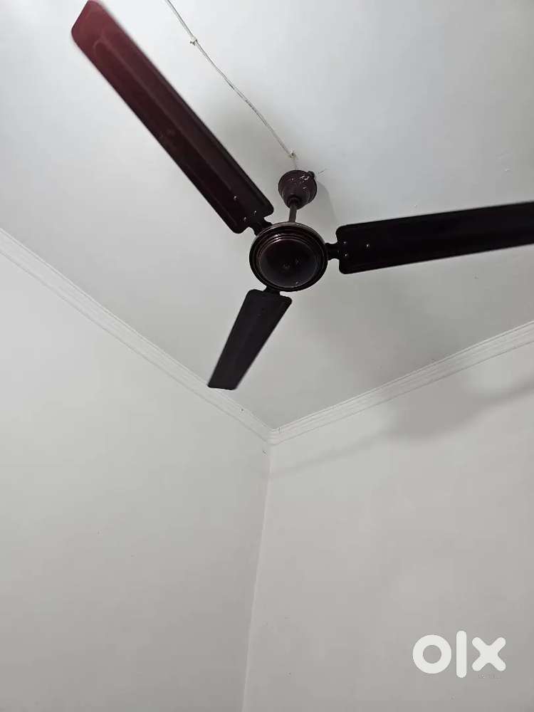 Usha ceiling fan