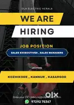 Sales Executive
