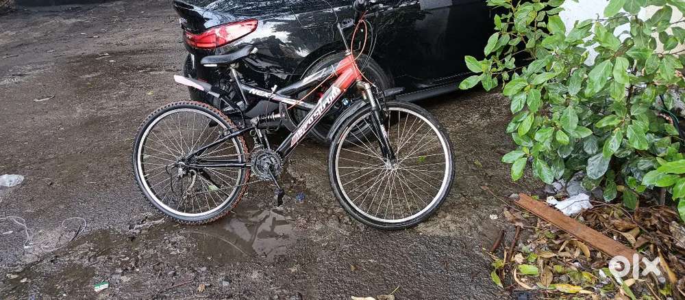 Dual Gear caycl